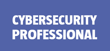 Cybersecurity Professional