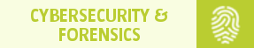 Cybersecurity and Forensics